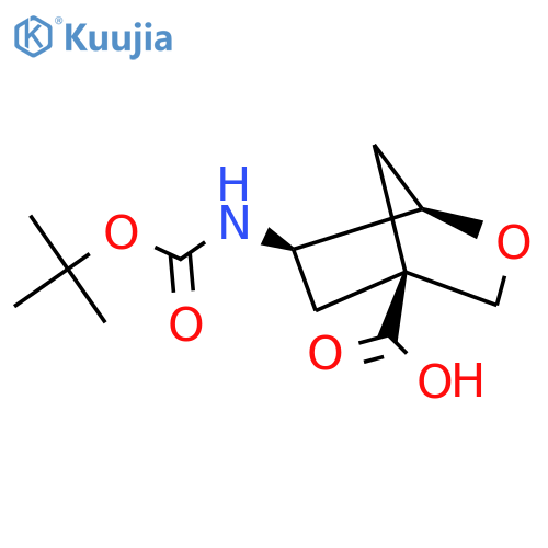 rac-(1R,4S,6R)-6-{[(tert-butoxy)carbonyl]amino}-2-oxabicyclo[2.2.1]heptane-4-carboxylic acid structure
