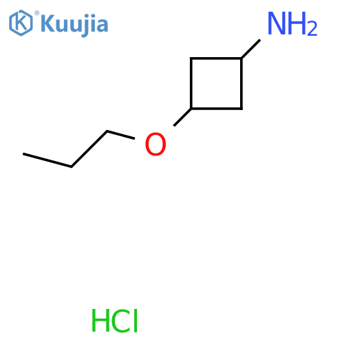 3-Propoxycyclobutan-1-amine hydrochloride structure