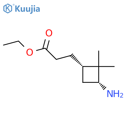 ethyl 3-[(1S,3R)-3-amino-2,2-dimethylcyclobutyl]propanoate structure