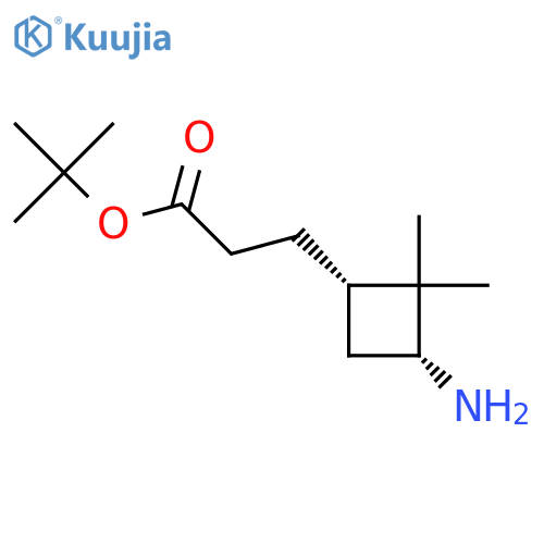 tert-butyl 3-[(1S,3R)-3-amino-2,2-dimethylcyclobutyl]propanoate structure