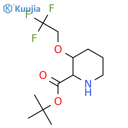 Tert-butyl 3-(2,2,2-trifluoroethoxy)piperidine-2-carboxylate structure