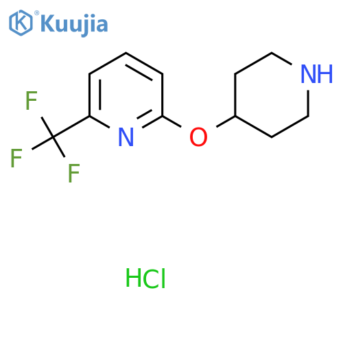 2-(Piperidin-4-yloxy)-6-(trifluoromethyl)pyridine hydrochloride structure