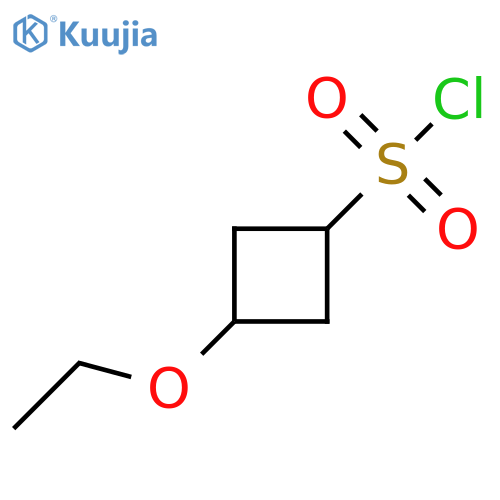 3-Ethoxycyclobutane-1-sulfonyl chloride structure