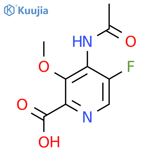 4-Acetamido-5-fluoro-3-methoxypyridine-2-carboxylic acid structure