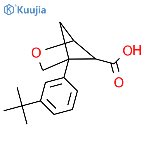 4-(3-Tert-butylphenyl)-2-oxabicyclo[2.1.1]hexane-5-carboxylic acid structure