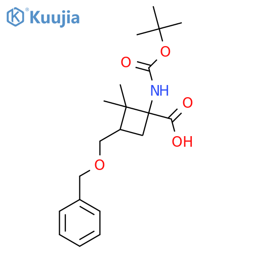 3-(benzyloxy)methyl-1-{(tert-butoxy)carbonylamino}-2,2-dimethylcyclobutane-1-carboxylic acid structure