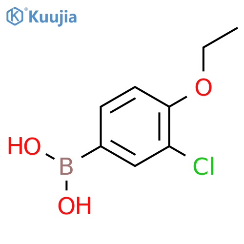 (3-chloro-4-ethoxyphenyl)boronic acid structure