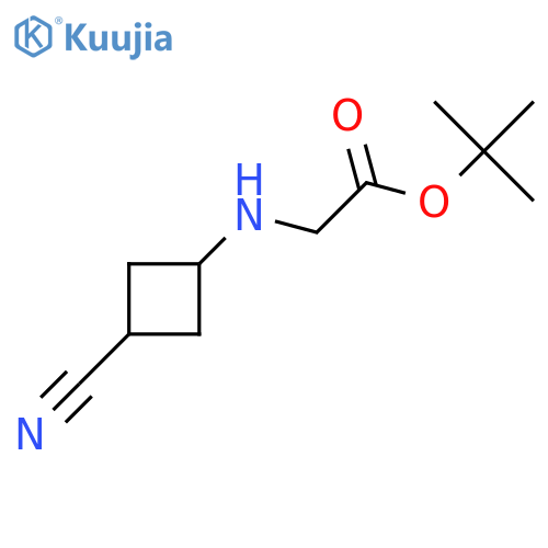 Tert-butyl 2-[(3-cyanocyclobutyl)amino]acetate structure