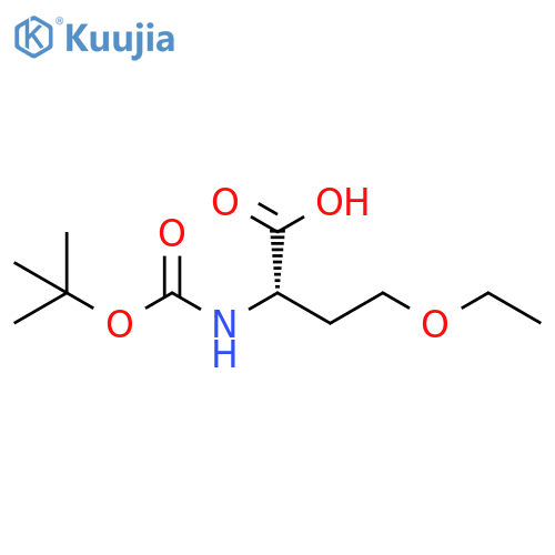 2-{(tert-butoxy)carbonylamino}-4-ethoxybutanoic acid structure