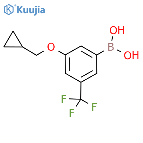 (3-(Cyclopropylmethoxy)-5-(trifluoromethyl)phenyl)boronic acid structure