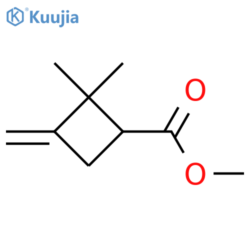 Cyclobutanecarboxylic acid, 2,2-dimethyl-3-methylene-, methyl ester structure