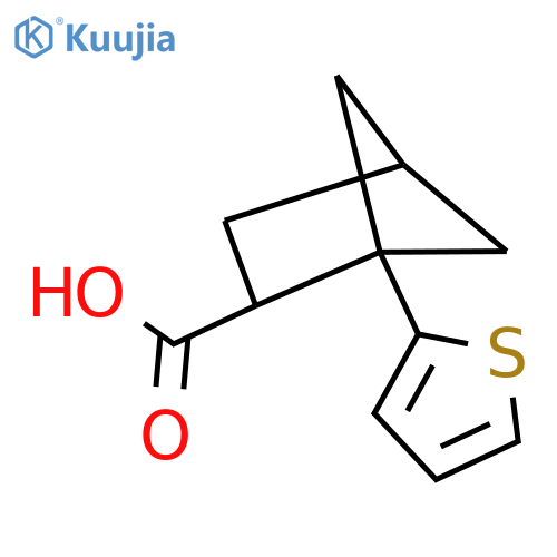 1-(Thiophen-2-yl)bicyclo[2.1.1]hexane-2-carboxylic acid structure