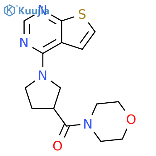 4-(1-{thieno[2,3-d]pyrimidin-4-yl}pyrrolidine-3-carbonyl)morpholine structure