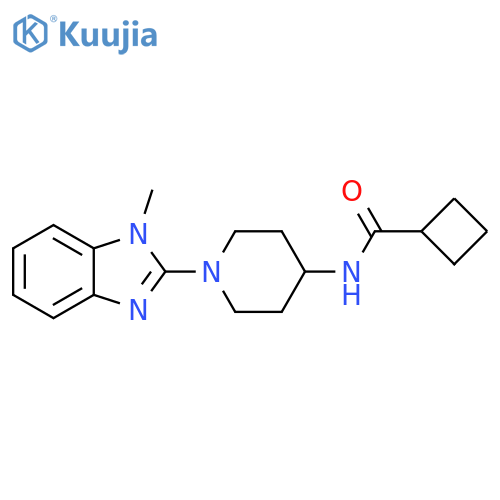 N-[1-(1-methyl-1H-1,3-benzodiazol-2-yl)piperidin-4-yl]cyclobutanecarboxamide structure