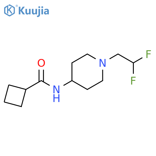 N-[1-(2,2-difluoroethyl)piperidin-4-yl]cyclobutanecarboxamide structure