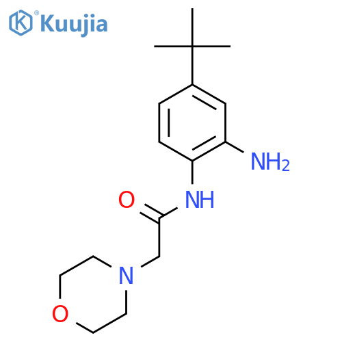 N-2-Amino-4-(tert-butyl)phenyl-2-(morpholin-4-yl)acetamide structure