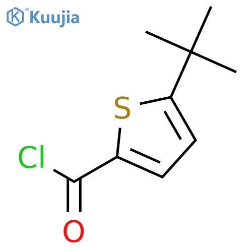 5-tert-Butylthiophene-2-carboxylic Acid structure