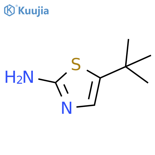 5-tert-butyl-1,3-thiazol-2-amine structure
