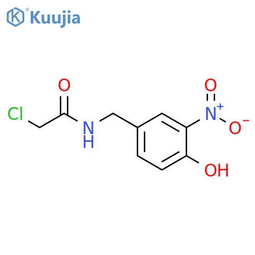 2-Chloro-N-(4-hydroxy-3-nitrobenzyl)acetamide structure