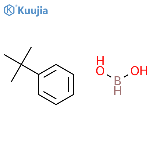 1-3-(tert-butyl)phenylhydrazine hydrochloride structure