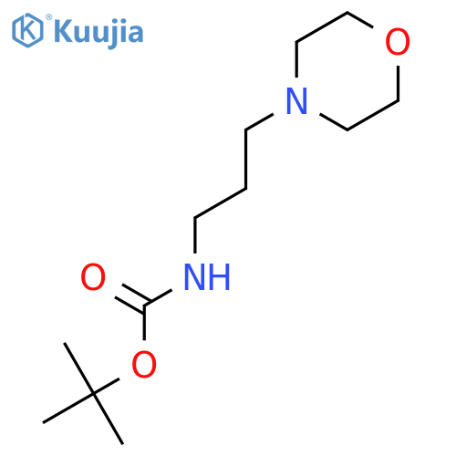 tert-Butyl [3-(morpholin-4-yl)propyl]carbamate structure