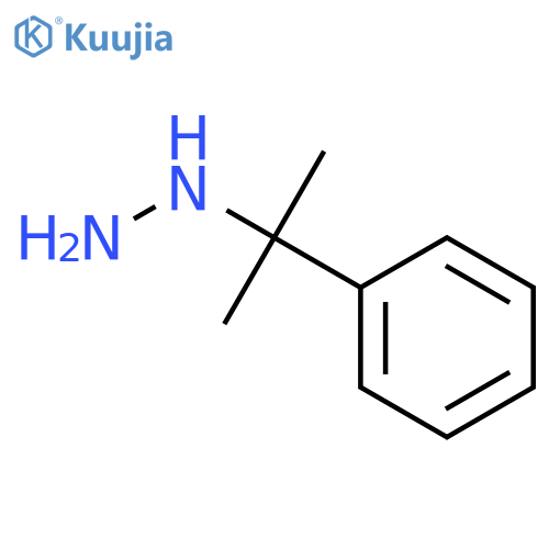 (2-phenylpropan-2-yl)hydrazine structure