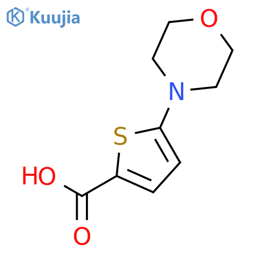 2-Thiophenecarboxylicacid, 5-(4-morpholinyl)- structure