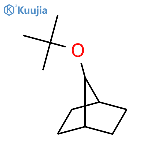 7-(tert-Butoxy)bicyclo[2.2.1]heptane structure