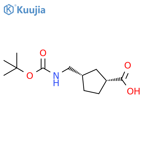 Cyclopentanecarboxylic acid, 3-[[[(1,1-dimethylethoxy)carbonyl]amino]methyl]-, (1R,3S)-rel- structure
