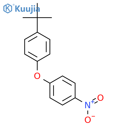 4-Nitro-4'-t-butyl diphenylether structure
