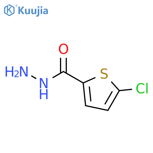 5-chlorothiophene-2-carbohydrazide structure