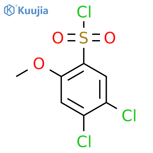 4,5-dichloro-2-methoxybenzene-1-sulfonyl chloride structure