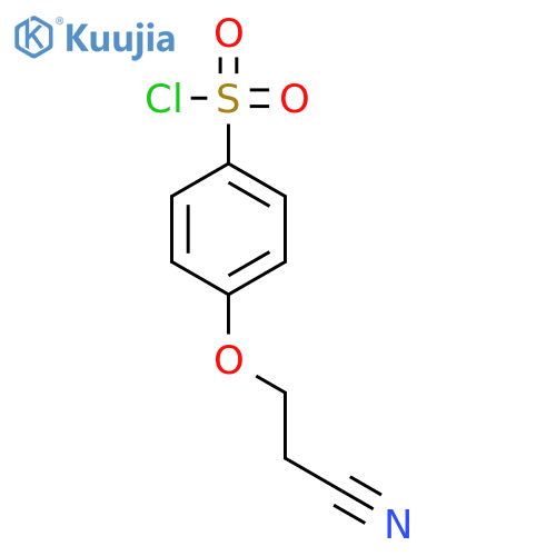 Benzenesulfonylchloride, 4-(2-cyanoethoxy)- structure