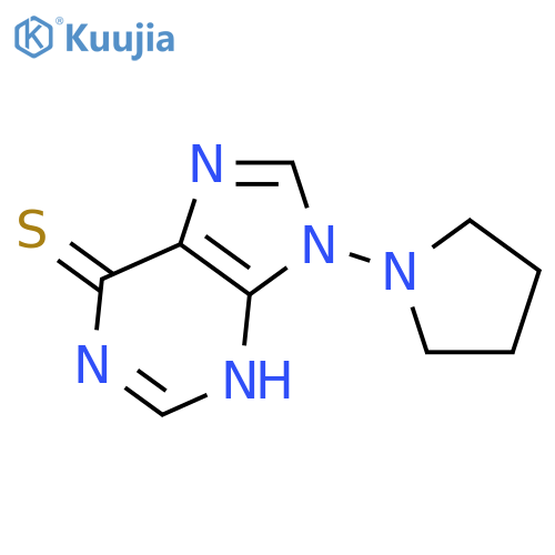 9-pyrrolidin-1-yl-3h-purine-6-thione structure