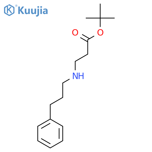 Tert-Butyl 3-[(3-phenylpropyl)amino]propanoate structure