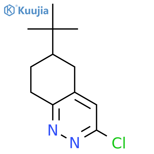 6-tert-butyl-3-chloro-5,6,7,8-tetrahydrocinnoline structure