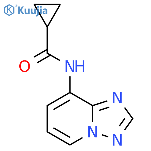N-[1,2,4]triazolo[1,5-a]pyridin-8-ylcyclopropanecarboxamide structure