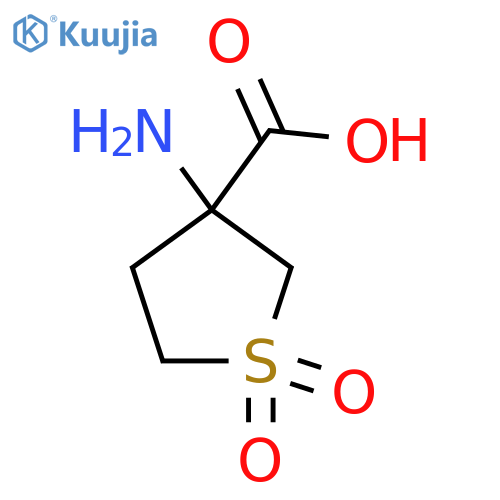 3-amino-1,1-dioxo-1λ?-thiolane-3-carboxylic acid structure