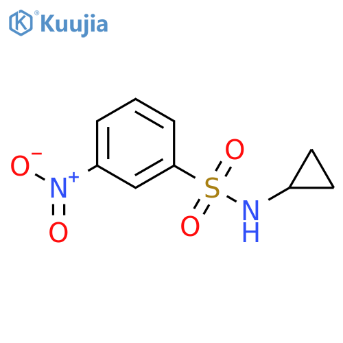N-Cyclopropyl-3-Nitrobenzenesulfonamide structure