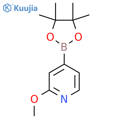 2-methoxy-4-(tetramethyl-1,3,2-dioxaborolan-2-yl)pyridine structure