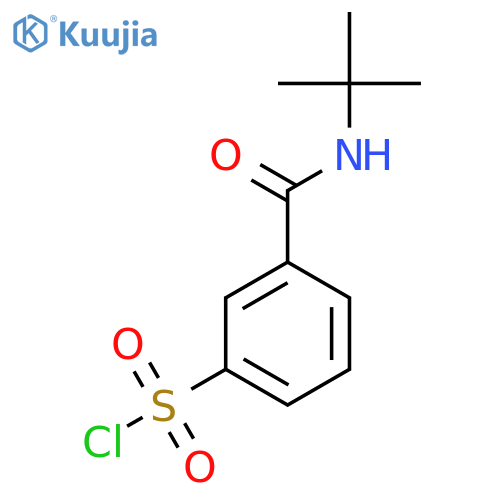 3-(Tert-butylcarbamoyl)benzene-1-sulfonyl chloride structure