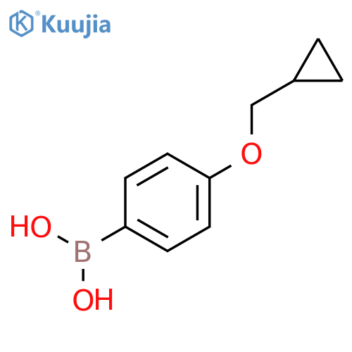4-(Cyclopropylmethoxy)phenylboronic acid structure