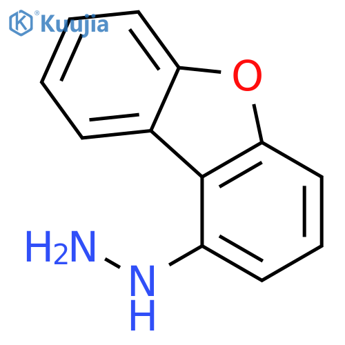 Hydrazine,2-dibenzofuranyl- structure