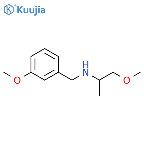 (3-Methoxybenzyl)(2-methoxy-1-methylethyl)amine structure
