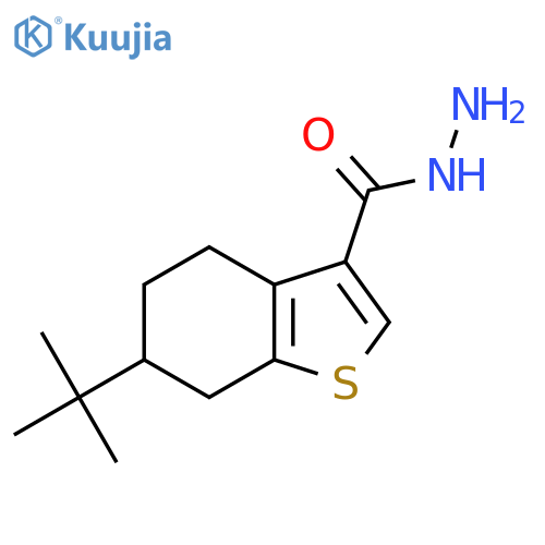 6-Tert-butyl-4,5,6,7-tetrahydro-1-benzothiophene-3-carbohydrazide structure