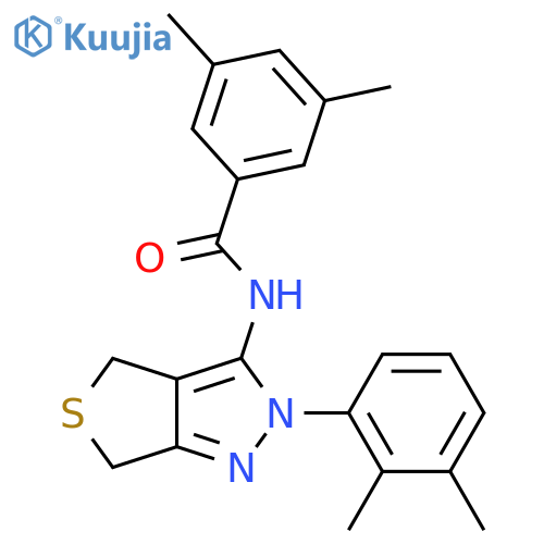 N-[2-(2,3-dimethylphenyl)-2H,4H,6H-thieno[3,4-c]pyrazol-3-yl]-3,5-dimethylbenzamide structure
