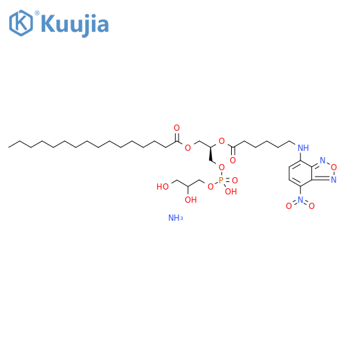 16:0-06:0 NBD PG structure