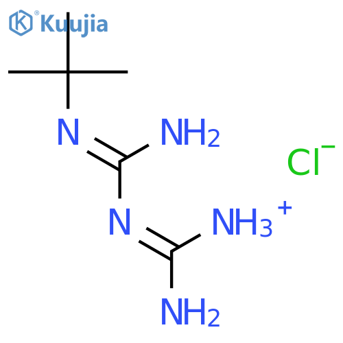 [(e)-n'-(n'-tert-butylcarbamimidoyl)carbamimidoyl]azanium;chloride structure