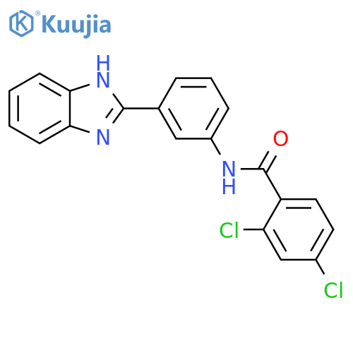 N-3-(1H-1,3-benzodiazol-2-yl)phenyl-2,4-dichlorobenzamide structure