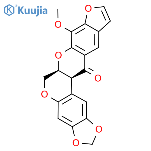 Pachyrrhizone structure